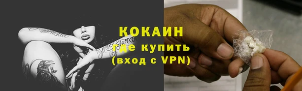 крисы Армянск