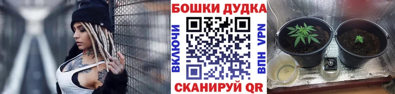omg онион  Ревда  Конопля Ganja 